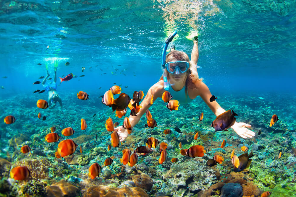 snorkeling-with-tropical-fishes-in-coral-reef