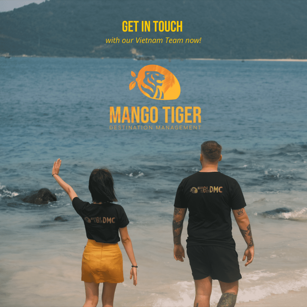 tiger vision travel and tours