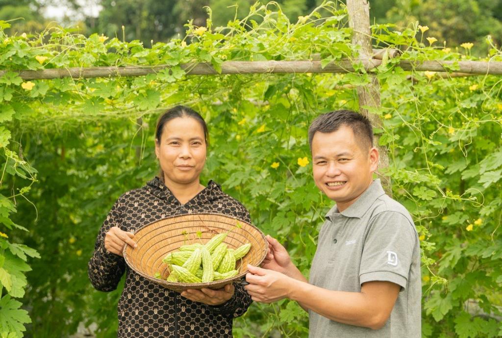 Community-based travel in Northern Vietnam, Mango Tiger DMC